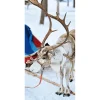 Winterdeko | Weihnachts- & Winterbanner^DecoWoerner Schwer Entflammbarer Stoffbanner "Rentier Mit Schlitten" Aus Fahnenstoff 100 X 200 Cm weiß