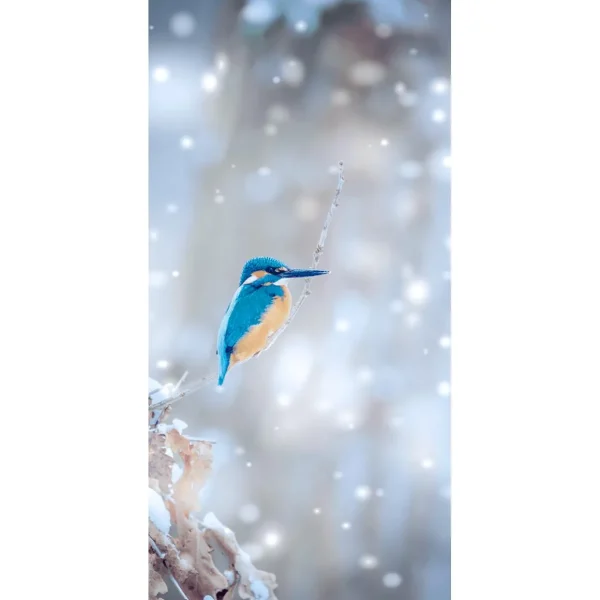 Winterdeko | Weihnachts- & Winterbanner^DecoWoerner Schwer Entflammbarer Stoffbanner "Eisvogel" Aus Fahnenstoff 100 X 200 Cm blau
