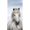 Winterdeko | Weihnachts- & Winterbanner^DecoWoerner Schwer Entflammbarer Stoffbanner "es Isländer Pferd" Aus Fahnenstoff 100 X 200 Cm weiß