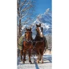 Winterdeko | Weihnachts- & Winterbanner^DecoWoerner Schwer Entflammbarer Stoffbanner Pferdekutsche Im Schnee Aus Fahnenstoff 100 X 200 Cm braun