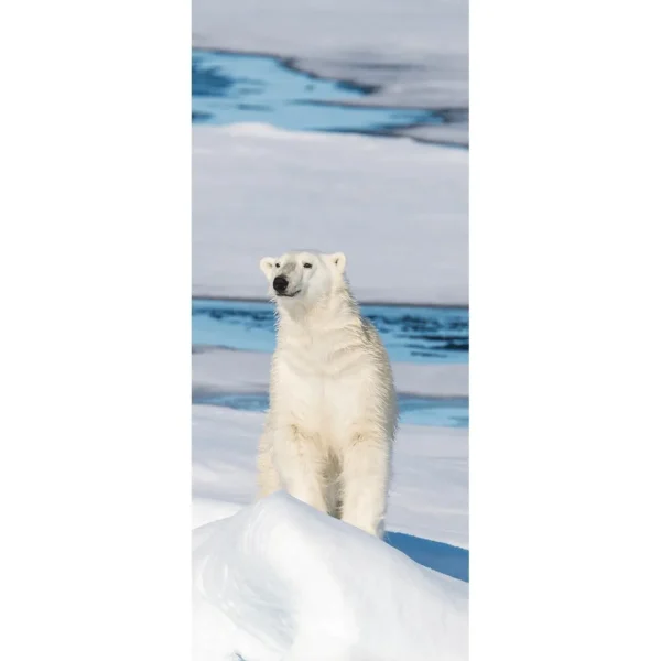 Winterdeko | Weihnachts- & Winterbanner^DecoWoerner Schwer Entflammbarer Stoffbanner "Eisbär" Aus Fahnenstoff 75 X 180 Cm weiß