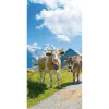 Themen-Deko | Sommerdeko^DecoWoerner Schwer Entflammbarer Stoffbanner „glückliche Milch-Kühe In Den Alpen“ Aus Fahnenstoff 100 X 200 Cm braun