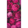 Themen-Deko | Frühlingsbanner^DecoWoerner Schwer Entflammbarer Stoffbanner „pinke Ranunkel-Blüten“ Aus Fahnenstoff 100 X 200 Cm rosa