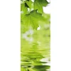 Naturdeko | Frühlingsdeko^DecoWoerner Schwer Entflammbarer Stoffbanner „Ahornblätter Und Wasser“ Aus Fahnenstoff 75 X 180 Cm grün