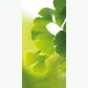 Naturdeko | Frühlingsdeko^DecoWoerner Schwer Entflammbarer Stoffbanner "Ginkgo" Aus Fahnenstoff 100 X 200 Cm grün