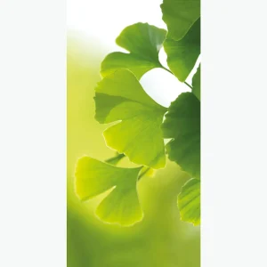 Naturdeko | Frühlingsdeko^DecoWoerner Schwer Entflammbarer Stoffbanner "Ginkgo" Aus Fahnenstoff 100 X 200 Cm grün
