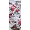 Weihnachts- & Winterbanner^DecoWoerner Schwer Entflammbarer Stoffbanner "Rote Beeren" 75 X 180 Cm