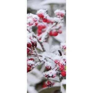 Weihnachts- & Winterbanner^DecoWoerner Schwer Entflammbarer Stoffbanner "Rote Beeren" 75 X 180 Cm