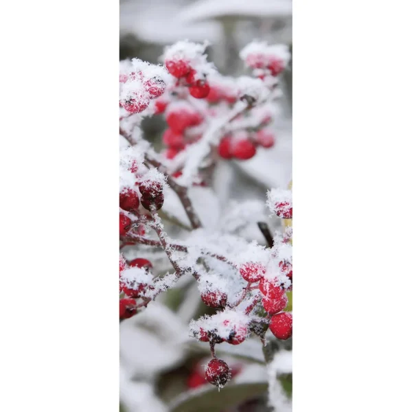 Weihnachts- & Winterbanner^DecoWoerner Schwer Entflammbarer Stoffbanner "Rote Beeren" 75 X 180 Cm