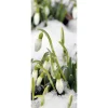 Weihnachts- & Winterbanner^DecoWoerner Schwer Entflammbarer Stoffbanner "Schneeglöckchen" 75 X 180 Cm