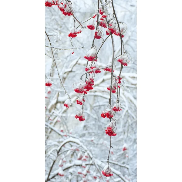 Weihnachts- & Winterbanner^DecoWoerner Schwer Entflammbarer Stoffbanner "Winterbeeren" Aus Fahnenstoff 100 X 200 Cm rot