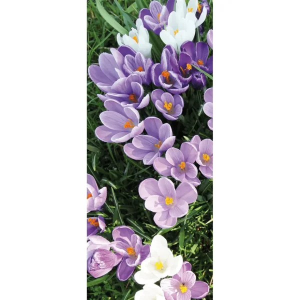 Frühlingsdeko | Frühlingsbanner^DecoWoerner Schwer Entflammbarer Stoffbanner Weiße Und Lila Krokusse Aus Fahnenstoff 75 X 180 Cm violett
