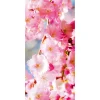 Frühlingsdeko | Frühlingsbanner^DecoWoerner Schwer Entflammbarer Stoffbanner " Kirschblüten" Aus Fahnenstoff 100 X 200 Cm rosa