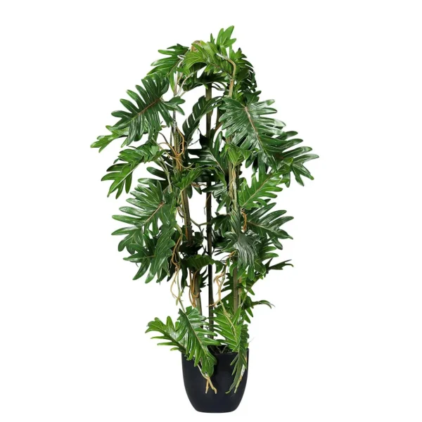 Grünpflanzen | Zimmerpflanzen^DecoWoerner Split Philodendron Im Schwarzem Topf grün
