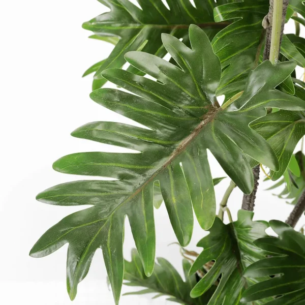 Grünpflanzen | Zimmerpflanzen^DecoWoerner Split Philodendron Im Schwarzem Topf grün