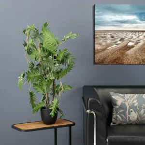 Grünpflanzen | Zimmerpflanzen^DecoWoerner Split Philodendron Im Schwarzem Topf grün