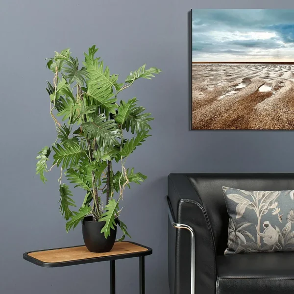 Grünpflanzen | Zimmerpflanzen^DecoWoerner Split Philodendron Im Schwarzem Topf grün