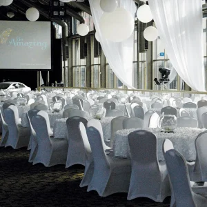 Lack- Dekor- & Stanzoptikfolien | Winterdeko^DecoWoerner Stanzoptikfolie Matt 90 Cm Breit, weiß