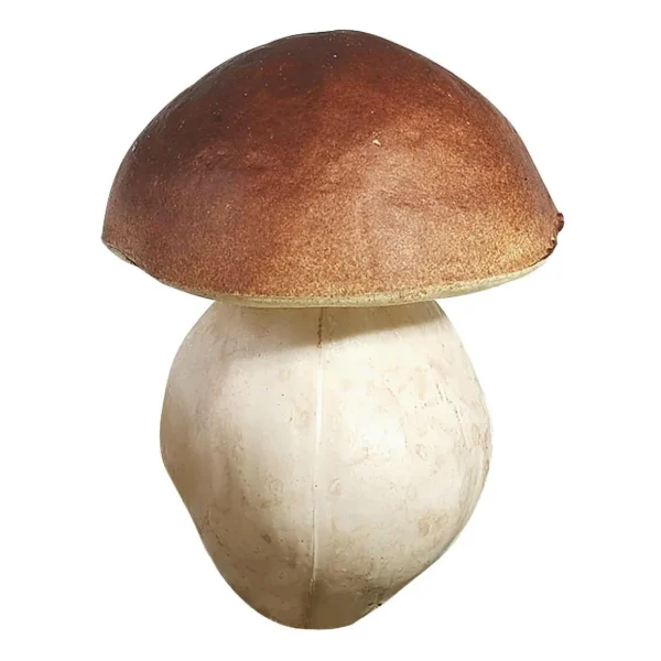 Gemüse & Kräuter^DecoWoerner Steinpilze Lebensmittel-Attrappe 14 Cm, 2 Stück braun