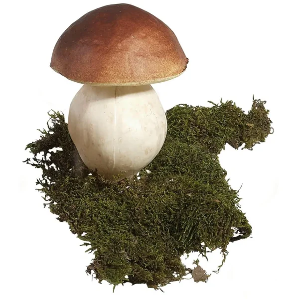 Gemüse & Kräuter^DecoWoerner Steinpilze Lebensmittel-Attrappe 14 Cm, 2 Stück braun