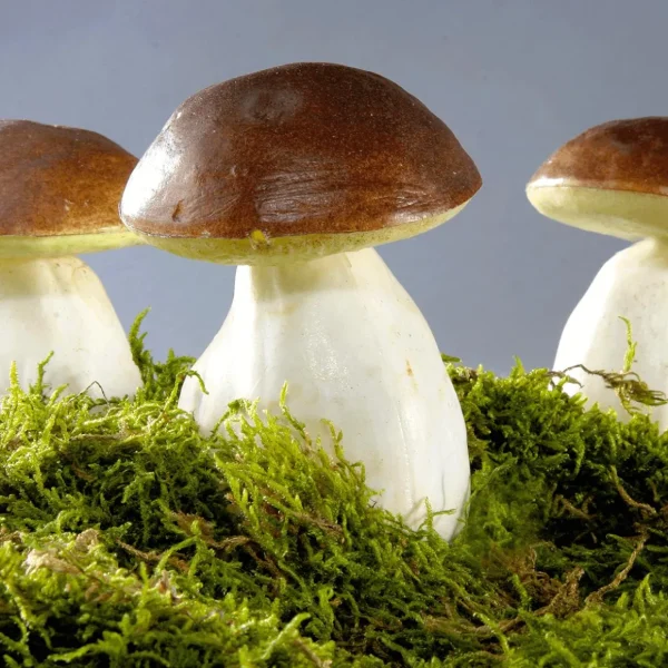 Gemüse & Kräuter^DecoWoerner Steinpilze Lebensmittel-Attrappe 10 Cm, 3 Stück braun