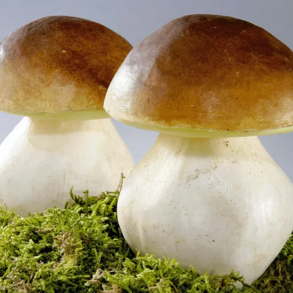 Gemüse & Kräuter^DecoWoerner Steinpilze Lebensmittel-Attrappe 14 Cm, 2 Stück braun