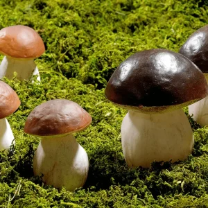 Gemüse & Kräuter^DecoWoerner Steinpilze Lebensmittel-Attrappe 10 Cm, 3 Stück braun