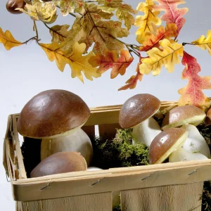 Gemüse & Kräuter^DecoWoerner Steinpilze Lebensmittel-Attrappe 14 Cm, 2 Stück braun