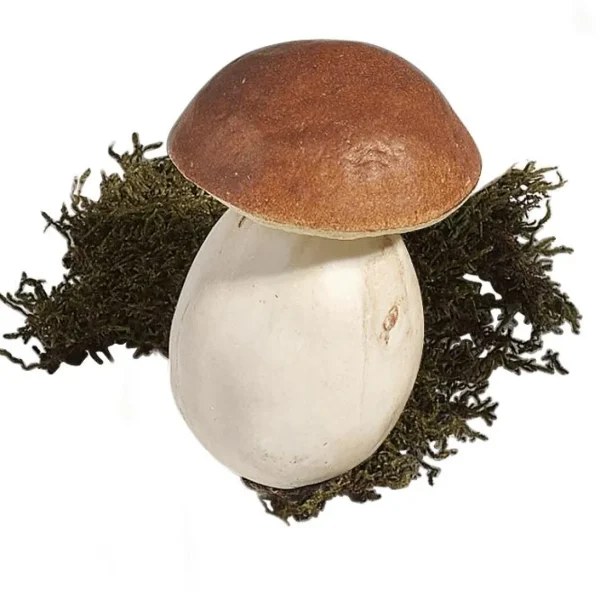 Gemüse & Kräuter^DecoWoerner Steinpilze Lebensmittel-Attrappe 10 Cm, 3 Stück braun