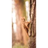 Herbstdeko | Herbst-Banner^DecoWoerner Stoffbanner Eichhörnchen 100 X 200 Cm braun
