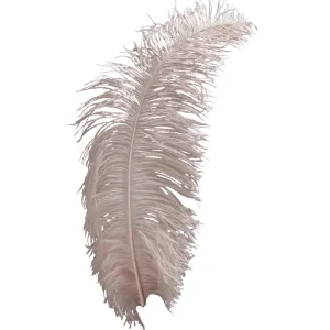 Themen-Deko^DecoWoerner Straußenfeder Puder, 50 - 60 Cm rosa
