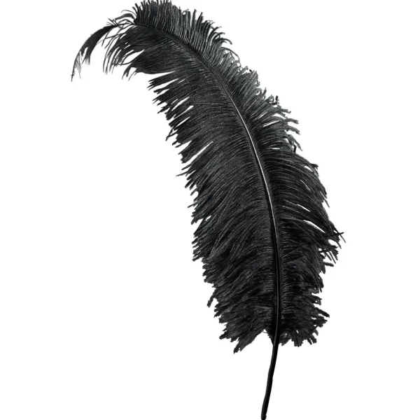 Themen-Deko^DecoWoerner Straußenfeder , 60 Cm schwarz
