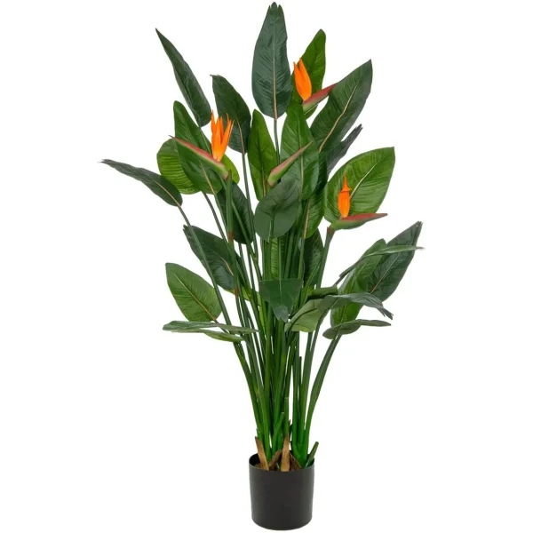Grünpflanzen | Zimmerpflanzen^DecoWoerner Strelizien Kunstpflanze Mit Blüten Im Topf B1, 150 Cm grün