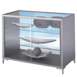 Warenpräsentation^DecoWoerner Thekenvitrine 90 X 120 X 60 Cm transparent