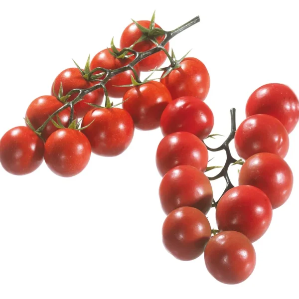 Gemüse & Kräuter^DecoWoerner Tomaten Rispen Lebensmittel-Attrappe, 2 Rispen rot
