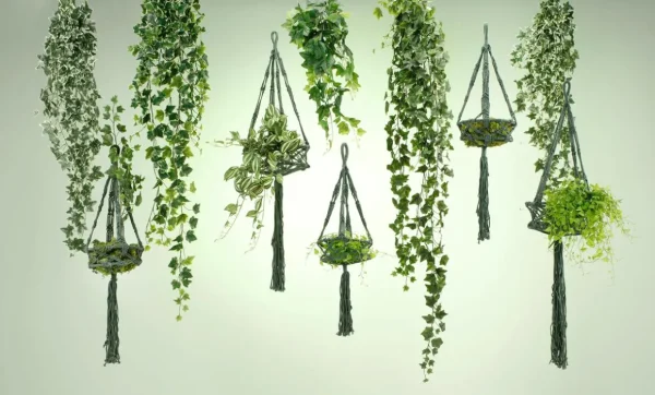 Frühlingsdeko | Grünpflanzen^DecoWoerner Tradecantiahänger 65 Cm grün
