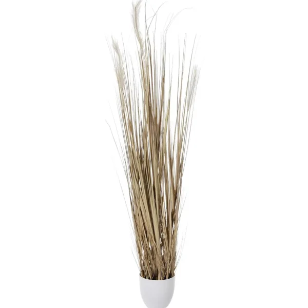 Dekogras^DecoWoerner Trocken-Grasbündel 150 Cm Hoch, In Weißem Topf Ø 20 Cm braun
