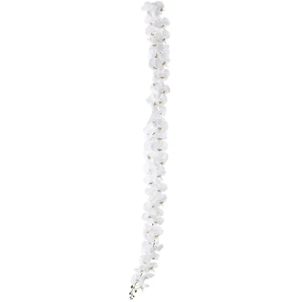 Girlanden & Ranken | Kunstblumen^DecoWoerner e Künstliche Orchideen Girlande 175 Cm weiß