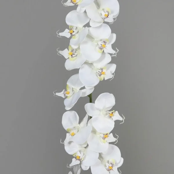 Girlanden & Ranken | Kunstblumen^DecoWoerner e Künstliche Orchideen Girlande 175 Cm weiß