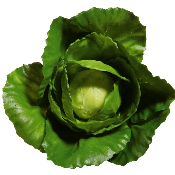 Gemüse & Kräuter^DecoWoerner Weißkohl Lebensmittel-Attrappe, 13 Cm Ø grün