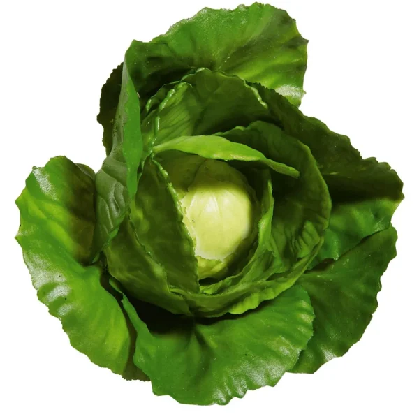 Gemüse & Kräuter^DecoWoerner Weißkohl Lebensmittel-Attrappe, 13 Cm Ø grün