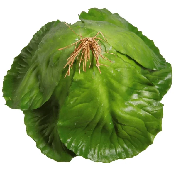 Gemüse & Kräuter^DecoWoerner Weißkohl Lebensmittel-Attrappe, 13 Cm Ø grün