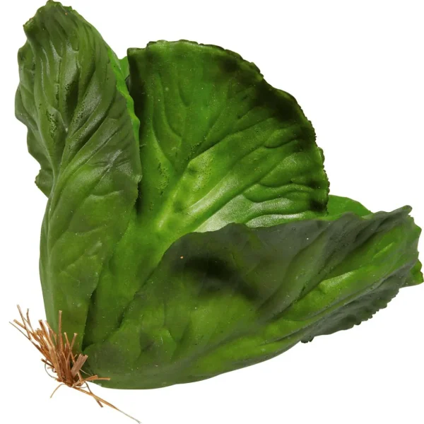 Gemüse & Kräuter^DecoWoerner Weißkohl Lebensmittel-Attrappe, 13 Cm Ø grün