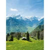 Xxl-Banner | Sommerdeko^DecoWoerner XL-Stoffbanner "Alpenwiese Mit Alm" Aus Schwer Entflammbarem Fahnenstoff 150 X 200 Cm grün