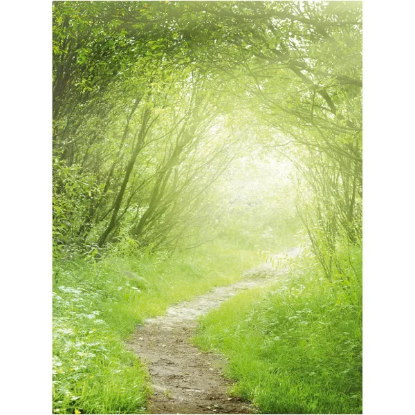Xxl-Banner | Sommerdeko^DecoWoerner XL-Stoffbanner "Waldweg" Aus Schwer Entflammbarem Fahnenstoff 150 X 200 Cm grün