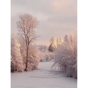Weihnachts- & Winterbanner^DecoWoerner XL-Stoffbanner "Winterstimmung" Aus Schwer Entflammbarem Fahnenstoff 150 X 200 Cm
