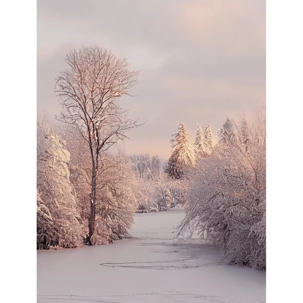 Weihnachts- & Winterbanner^DecoWoerner XL-Stoffbanner "Winterstimmung" Aus Schwer Entflammbarem Fahnenstoff 150 X 200 Cm