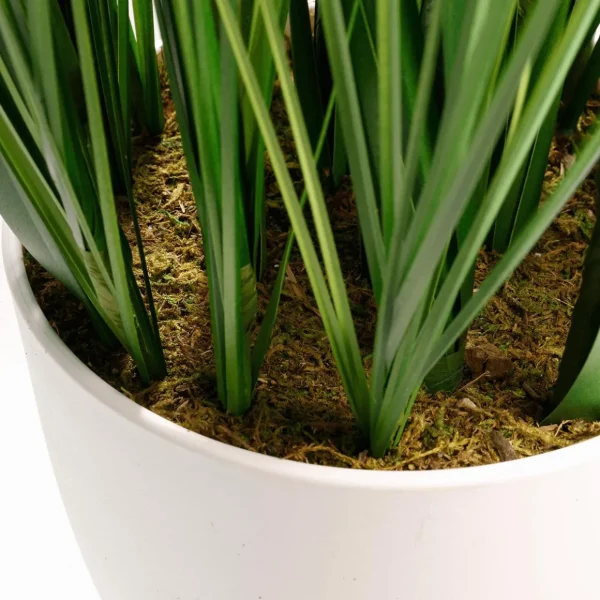 Dekogras^DecoWoerner XXL Deko-Tigergras Im Weißen Topf 120 Cm grün