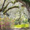 Xxl-Banner | Sommerdeko^DecoWoerner XXL-Planenbanner "Park MitSpanischem Moos" Aus Schwer Entflammbarer LKW-Plane 250 X 330 Cm braun