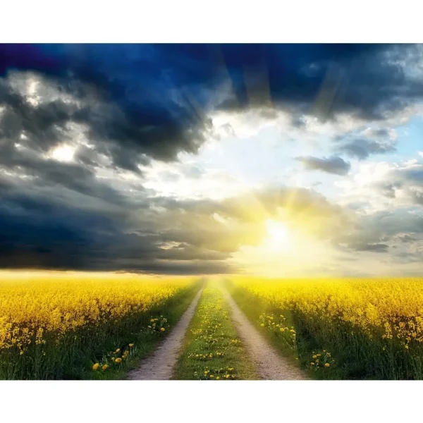 Xxl-Banner | Herbstdeko^DecoWoerner XXL-Planenbanner "Rapsfeld" Aus Schwer Entflammbarer LKW-Plane 250 X 330 Cm
